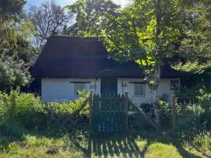 Mouse House Greyton - tiny home living - Bereaville