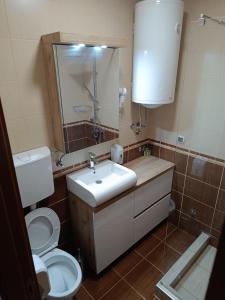 Apartman Savić Solaris