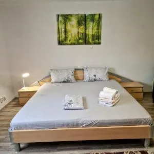 Seventeen -Apartament la casa - Şofronea