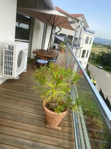 Appartements 100m2 au calme dans un ecrin de verdure : photos des chambres