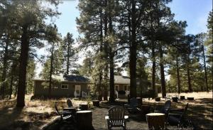 Glenwood Pines