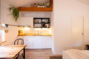 Studio Apartment Jož