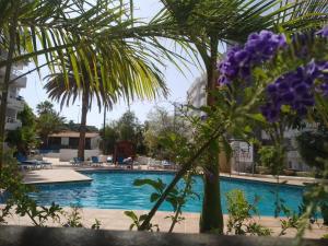 Apart Hotel Ponderosa