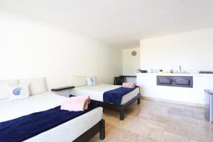 Economical Studio in Prime Hotel Zone.