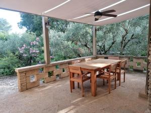 le murmure des oliviers