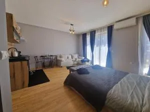 Sergiu's Apartment - Bachevo