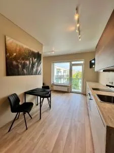 ALBINA Studio - Вильнюс