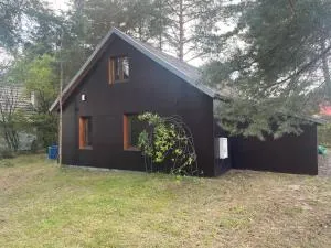 Leśna Hacienda nad Wkrą - Joniec