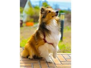 THE RETREATMENT YUGAWARA - Vacation STAY 86823v