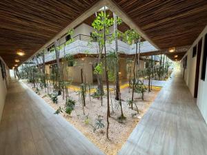 Botánics by Endémico Los Laureles