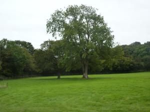 Snipelands Bed and Breakfast.