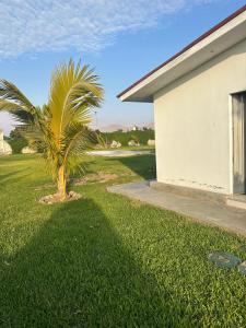 Fundo GHANDY ALLIZON