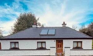 River Cottage - Tyrrellspass