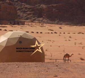 Wadi rum camp