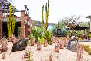 Rancho BX, Propiedad completa, el triunfo bcs con alberca