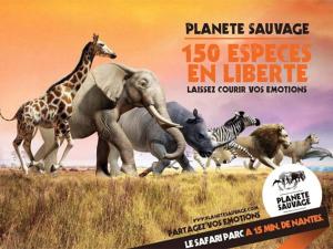 Maisonnette safari planète sauvage et océan