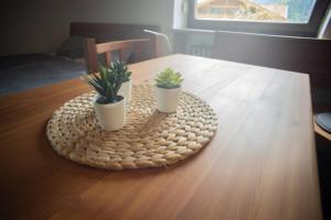 Haus Oberwössen Studio #1 Kampenwand mit Sauna