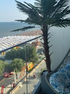 Mamaia Nord-Navodari Seaside View