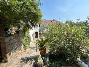 Green Grass Cut Apartment