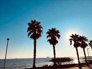 Sealovers house Thaon the Revel