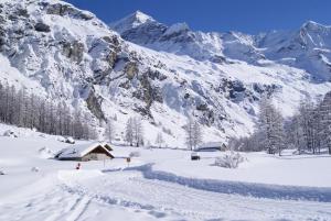 Appartements 30 Praz Ski-in Ski-out Vallandry - Les Arcs - Paradiski : photos des chambres