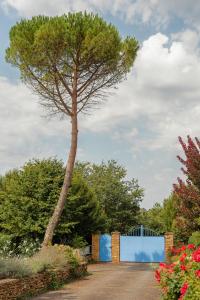 La Villa Bleue, Luxe, Piscine et Spa