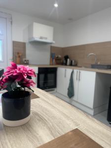 Appartements Le Paisible : photos des chambres