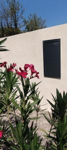 Maisons de vacances Mas en Provence : photos des chambres