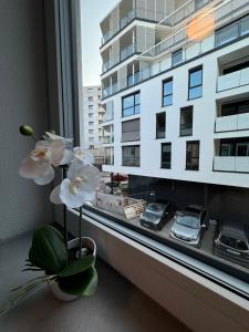 City Ferien Wohnungen 1