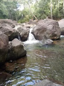 chez Nadine logement neuf - Ferry