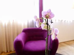 Brandmayerhof - Eichenried bei Erding