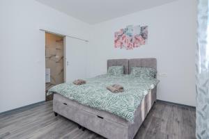 Family friendly house with a swimming pool Vir - Lozice, Vir - 23513