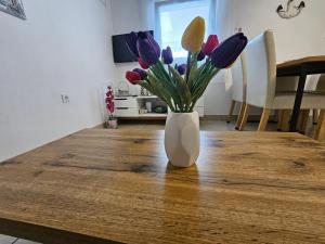 Apartments with parking space Vir - 22626