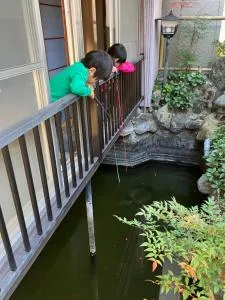 おれっちのひみつきち2 - 藤枝