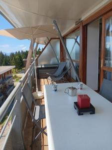 Appartements Les Villages du Bachat a Chamrousse 1700 -Silenes A32 - Classe 3 etoiles : photos des chambres