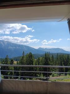 Appartements Les Villages du Bachat a Chamrousse 1700 -Silenes A32 - Classe 3 etoiles : photos des chambres