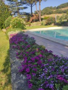 Casa Vacanze Il Conte