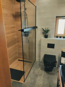 Domek Apartament Windyki