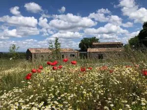Podere l'Alfina Bio Agriturismo - Monte Rubiaglio