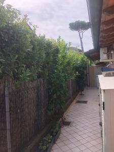 Versilia Villina Lola