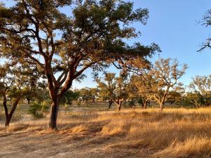 Herdade Vicentina - modern housein nature
