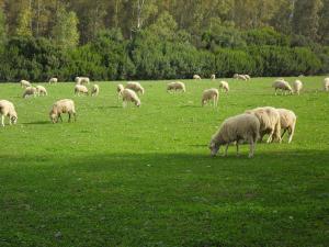 Agriturismo Casa Marmida img14