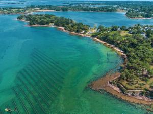Appartements Plein sud - Golfe du Morbihan : photos des chambres