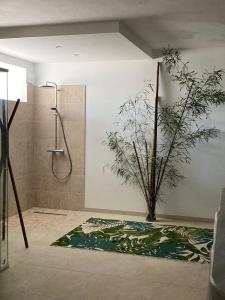 Maisons d'hotes Elegance Perigourdine and SPA : photos des chambres