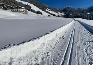 Ariana - Sibratsgfäll