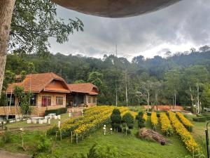 MJ Gargen View เรือนหลวงรีสอร์ท