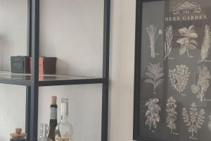 House near Elvas on Olive Farm