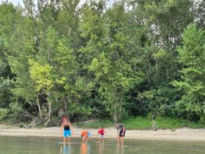 Véneki-pihi Vendégház