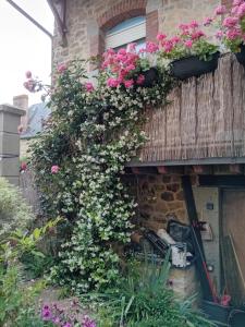Appartements Les gites de Lyly : Appartement 2 Chambres