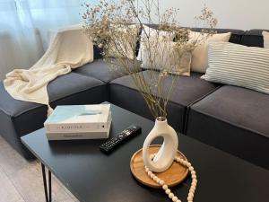 Apartment 30 mins from central London